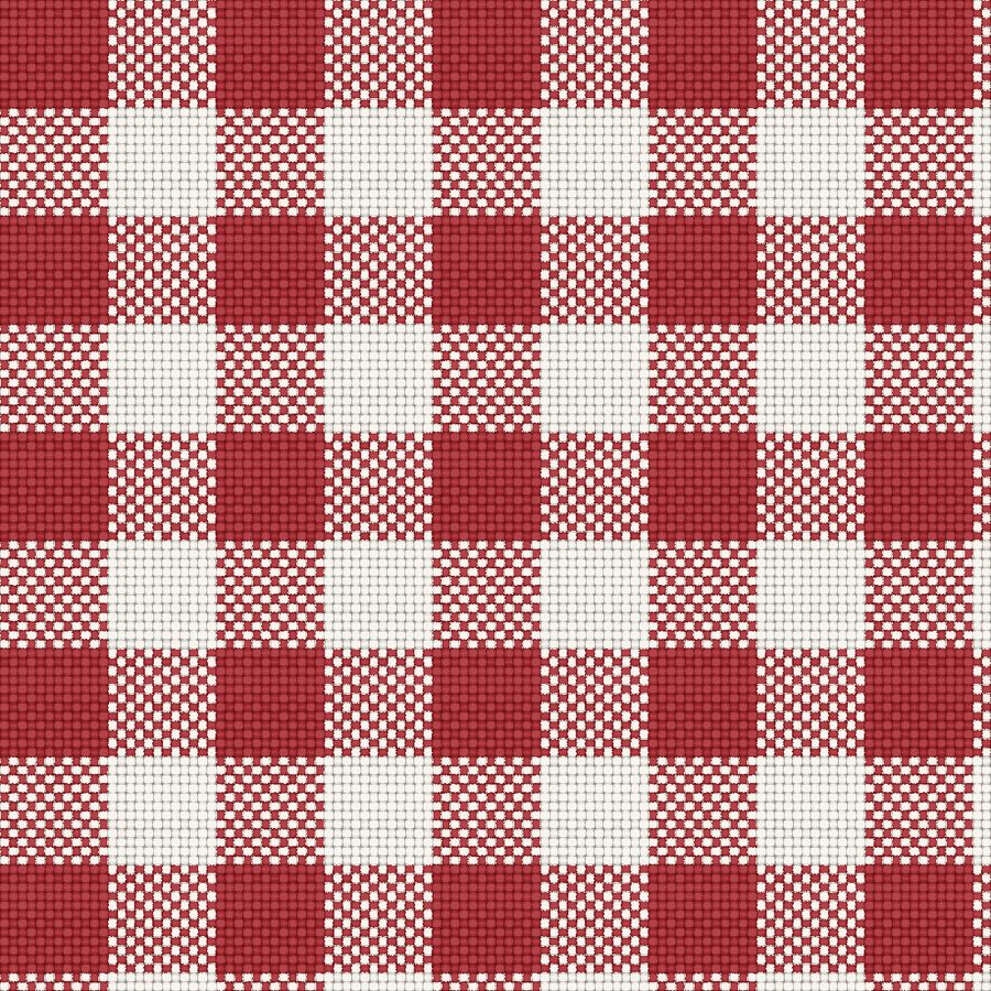 Gingham woven thread by thread in plain weave, drawn by the Sett engine