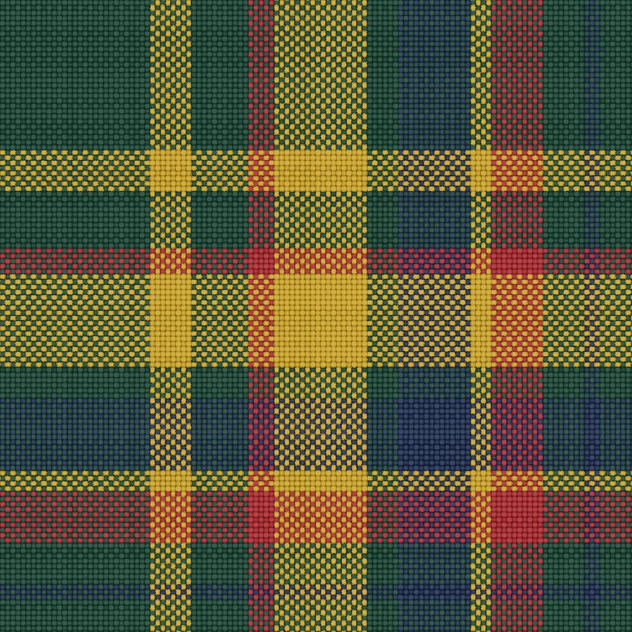 Madras woven thread by thread in plain weave, drawn by the Sett engine
