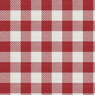 Gingham woven from the thread count G12 F12 in plain weave