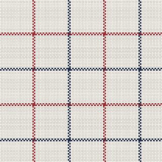 Tattersall check woven from the thread count G22 A2 G22 B2 in plain weave