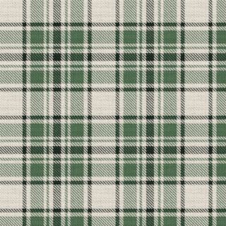 A green and cream tartan woven thread by thread in 2/2 twill by the Sett engine